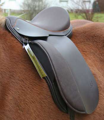 Gilma's new saddle 1