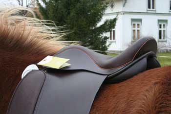 Gilma's new saddle 2