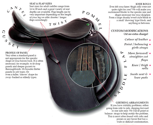 saddle with cross-section
