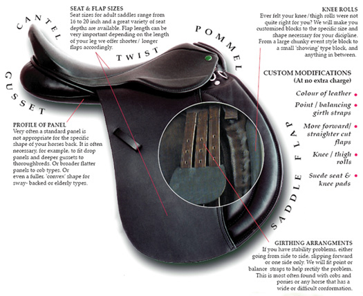 Anatomy of a saddle